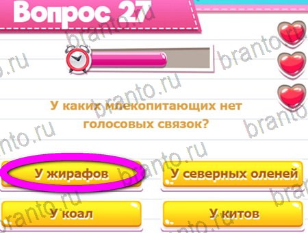 Игра Викторина для всех ответы на Уровень 27