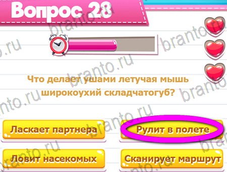 Игра Викторина для всех ответы на Уровень 28