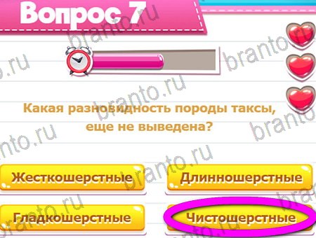 ответы на игру в одноклассниках Викторина для всех уровень 7