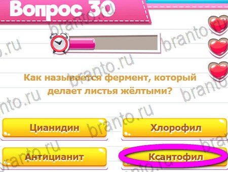 Игра Викторина для всех ответы на Уровень 30