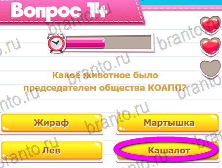 Викторина для всех игра ответы на все задания Уровень 14