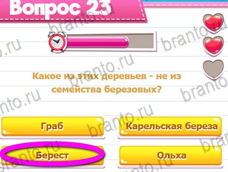 Викторина для всех игра из одноклассников решения Уровень 23