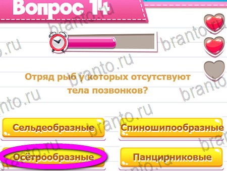 Викторина для всех игра ответы на все задания Уровень 14