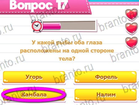 Викторина для всех ответы в картинках в контакте Уровень 17