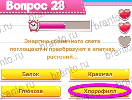 Игра Викторина для всех ответы на Уровень 28
