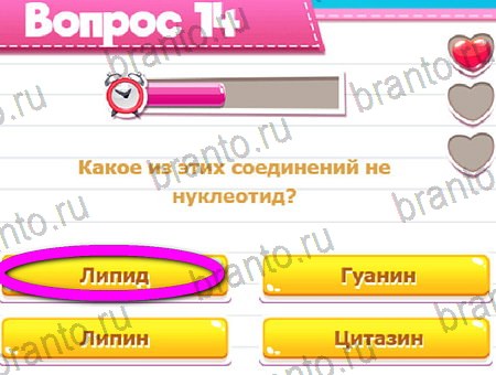 Викторина для всех игра ответы на все задания Уровень 14
