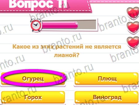 игра Викторина для всех разгадки, ответ на Уровень 11
