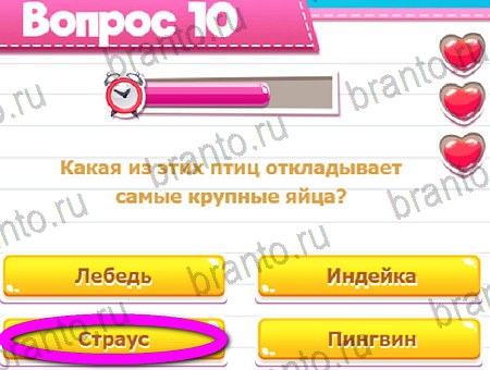 Викторина для всех подсказки в контакте Уровень 10