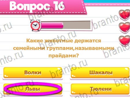 Викторина для всех игра в одноклассниках помощь Уровень 16