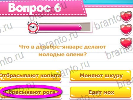 ответы к игре Викторина для всех в контакте Уровень 6