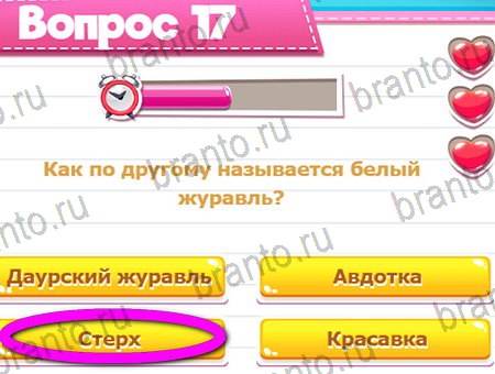 Викторина для всех ответы в картинках в контакте Уровень 17