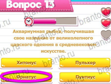 Викторина для всех решения на игру из одноклассников Уровень 13