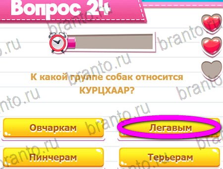 Викторина для всех игра ответы ВК Уровень 24