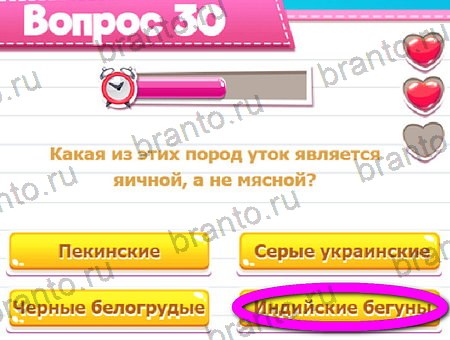 Игра Викторина для всех ответы на Уровень 30
