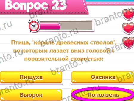 Викторина для всех игра из одноклассников решения Уровень 23