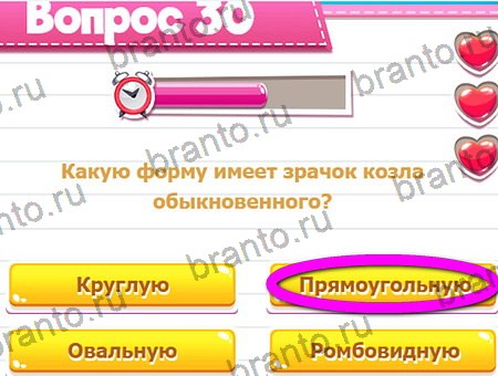 Игра Викторина для всех ответы на Уровень 30