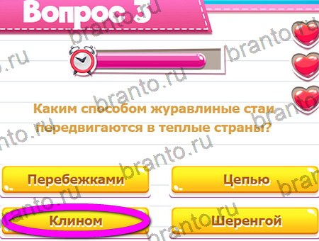 Подсказки на игру Викторина для всех Уровень 3