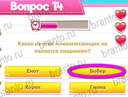 Викторина для всех игра ответы на все задания Уровень 14