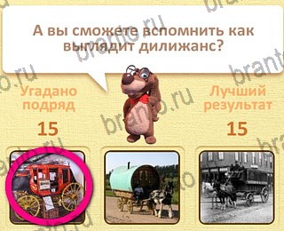 Пушистые вопросы в Одноклассниках помощь уровень 16