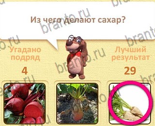 Пушистые вопросы игра в Одноклассниках помощь уровень 5