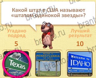 игра Пушистые вопросы все отгадки Одноклассники уровень 20