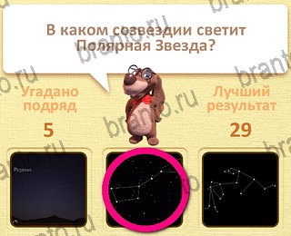 игра Пушистые вопросы ответы уровень 30