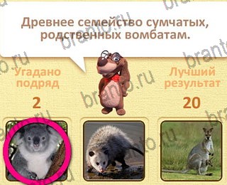 ответы на все уровни игры Пушистые вопросы уровень 25