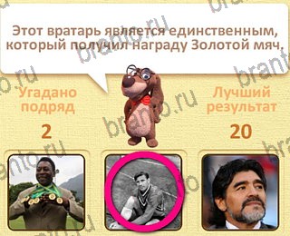 игра Пушистые вопросы ответы уровень 30