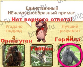 в Одноклассниках Пушистые вопросы ответы на игру уровень 12