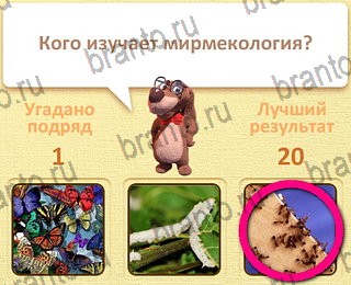 решения на все задания игры Пушистые вопросы уровень 28