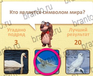 Одноклассники Пушистые вопросы ответ на уровень 4