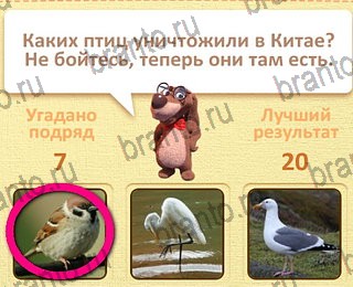 Пушистые вопросы Одноклассники найти ответы уровень 8