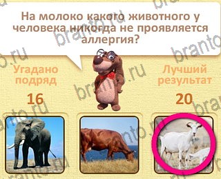 Игра Пушистые вопросы Одноклассники решения уровень 17