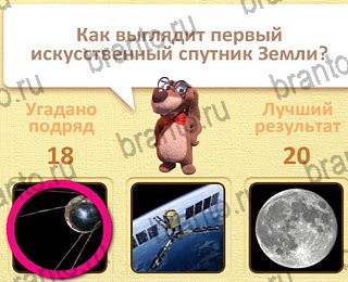 Пушистые вопросы все отгадки Одноклассники уровень 19