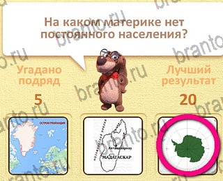 ответы на все уровни игры Пушистые вопросы уровень 25