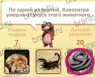 все решения к игре Пушистые вопросы уровень 27