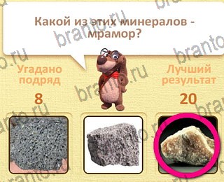 решения на все задания игры Пушистые вопросы уровень 28