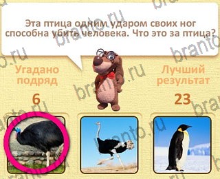 четыре фото 1 слово в Одноклассниках ответы уровень 11