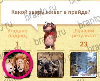 ответы на все уровни игры Пушистые вопросы уровень 25