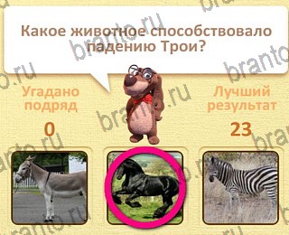 все решения к игре Пушистые вопросы уровень 27