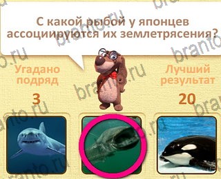 Одноклассники Пушистые вопросы ответ на уровень 4