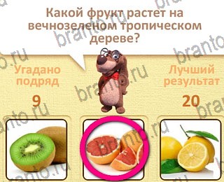 Пушистые вопросы ответы уровень 10