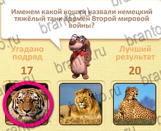 Пушистые вопросы Одноклассники решения на игру уровень 18