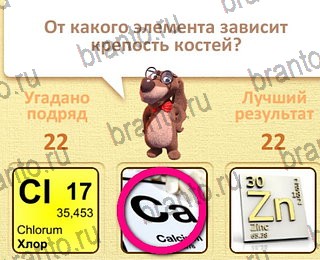 Пушистые вопросы все ответы уровень 23