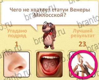 Пушистые вопросы разгадки к игре уровень 21