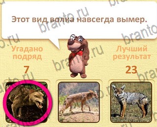все решения к игре Пушистые вопросы уровень 27