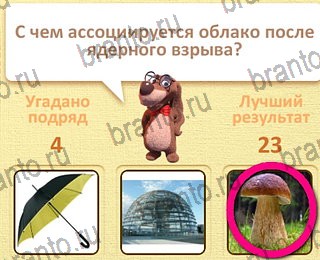 Пушистые вопросы Одноклассники найти ответы уровень 8