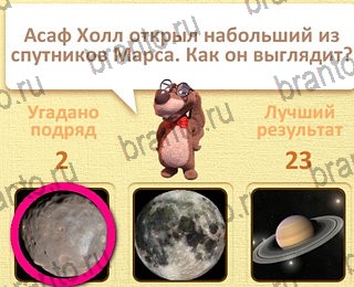 в Одноклассниках Пушистые вопросы ответы на игру уровень 12