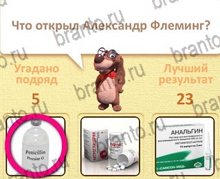 Игра Пушистые вопросы Одноклассники решения уровень 17