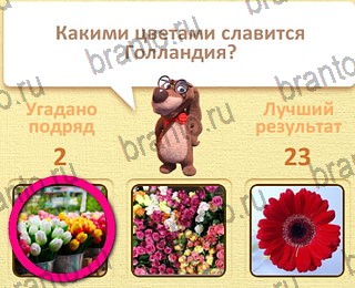 подсказки на все уровни игры Пушистые вопросы уровень 26